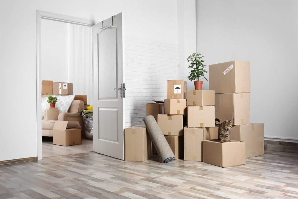 get removalist sydney
